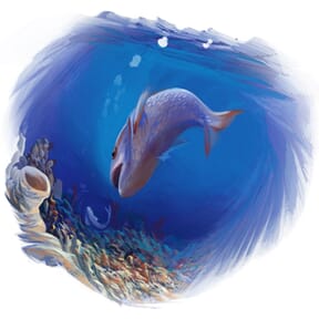 Proyecto de Darío Colo