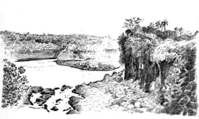 Proyecto de Diego Moscato