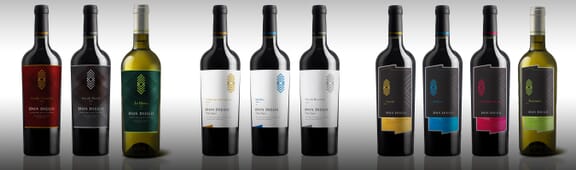 Proyecto de Federico Caballero