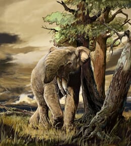 Proyecto de Jorge Blanco