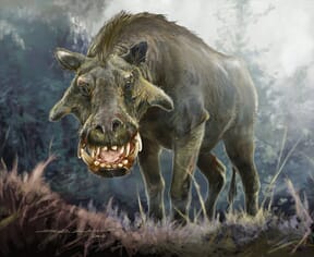 Proyecto de Jorge Blanco