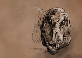 Proyecto de Jorge Blanco