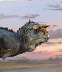 Proyecto de Jorge Blanco