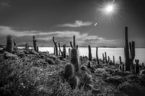 Proyecto de Juan Pedro Fullana