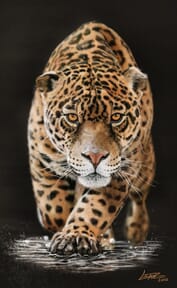 Proyecto de Leandro Villalba