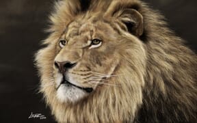 Proyecto de Leandro Villalba