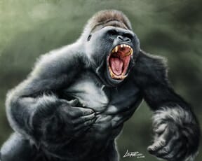 Proyecto de Leandro Villalba