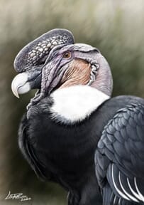 Proyecto de Leandro Villalba