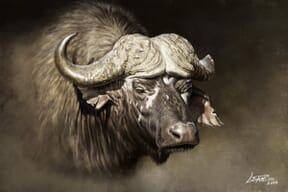 Proyecto de Leandro Villalba