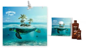 Proyecto de Leonardo Fernández