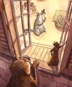 Proyecto de Rodrigo Luján