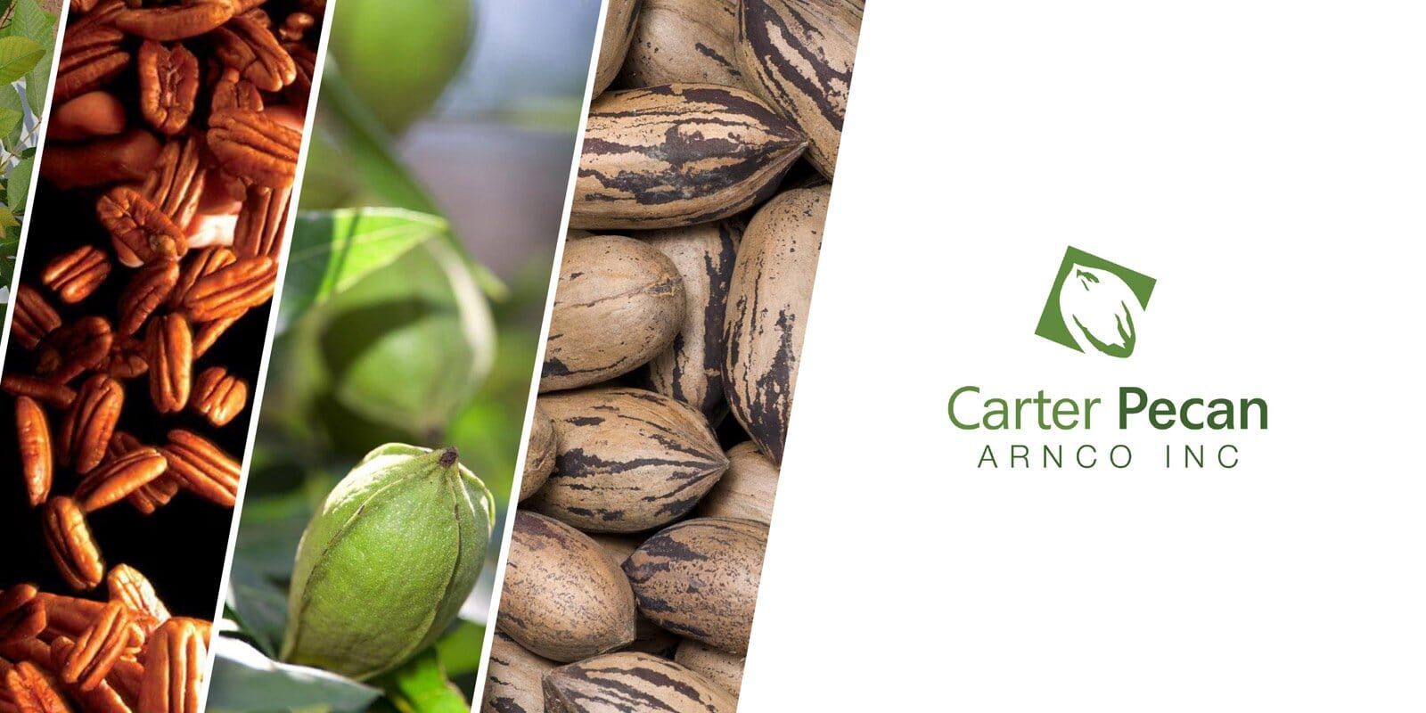 Carter Pecan lanza un concurso de Diseño Gráfico