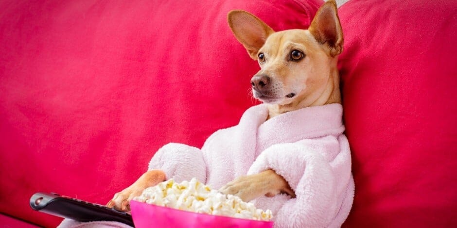 Síndrome Pochoclo: ¿cómo escapar al confort cotidiano?