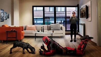 Imagen para Primer Año