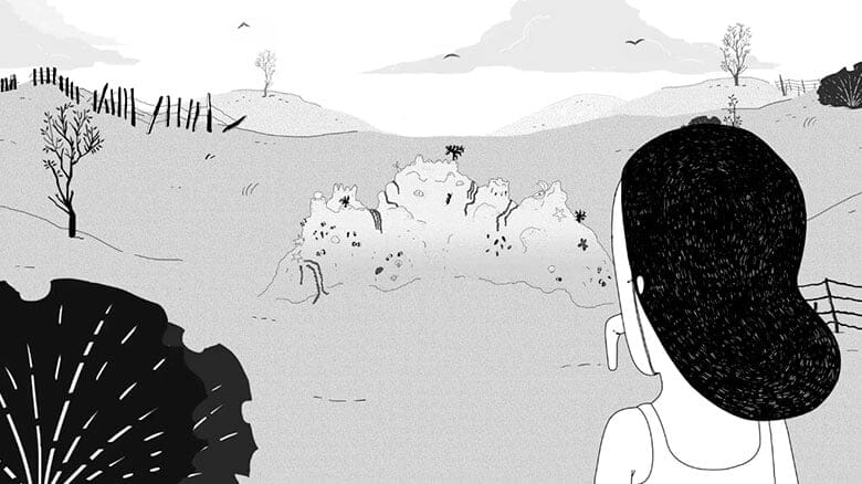 Imagen de la carrera