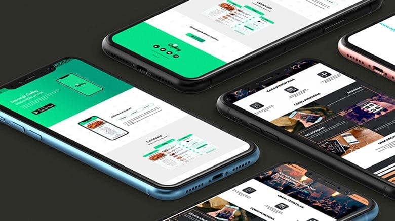 Imagen de la carrera